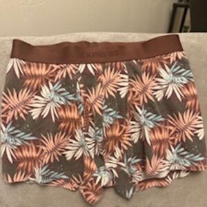 Express Boxer Trunk- Set of 2